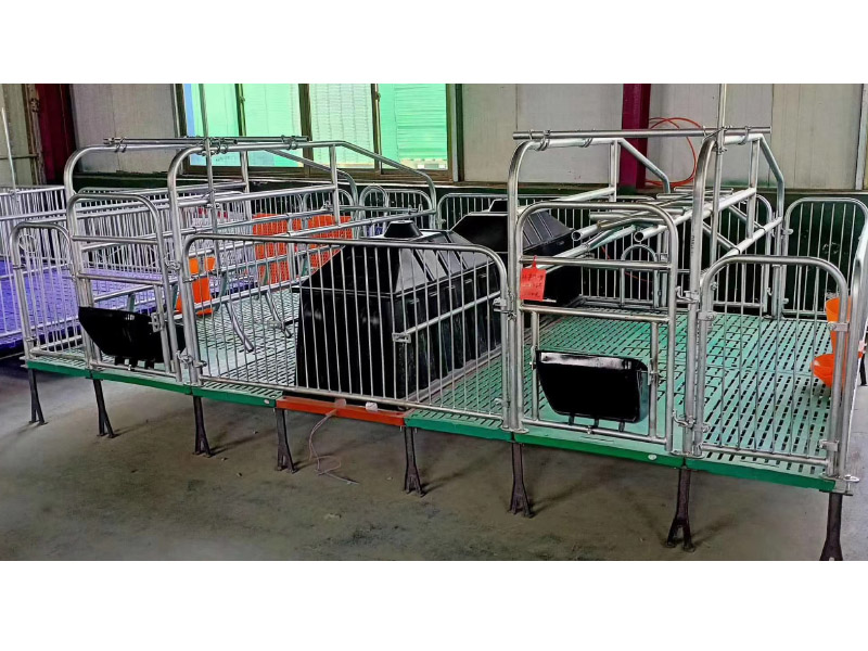 母猪产保一体床