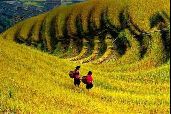 中華人民共和國農業農村部令 2021年 第1號