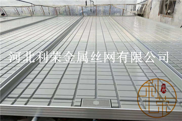 潮汐苗床