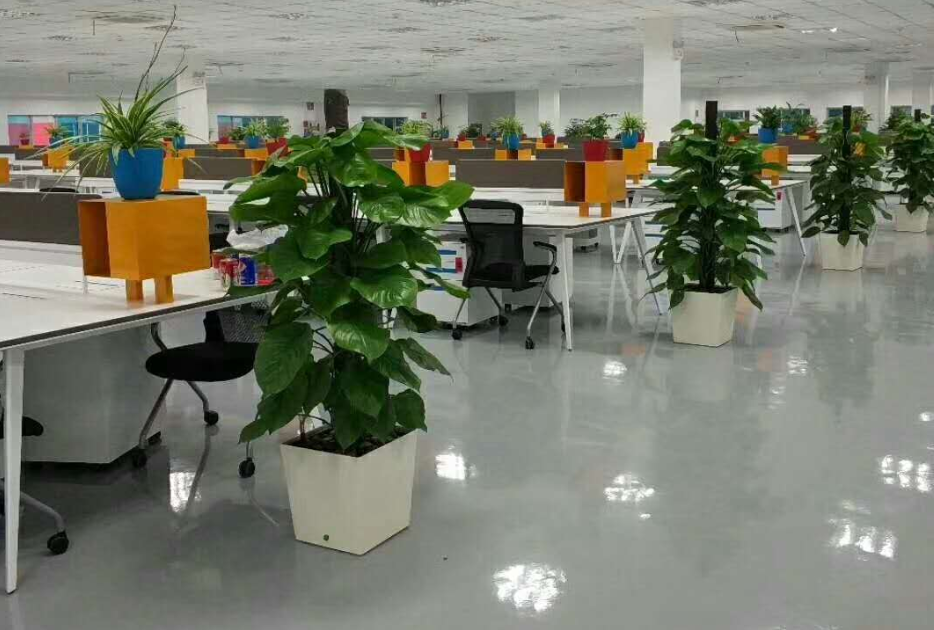 盘锦人和花卉苗木基地
