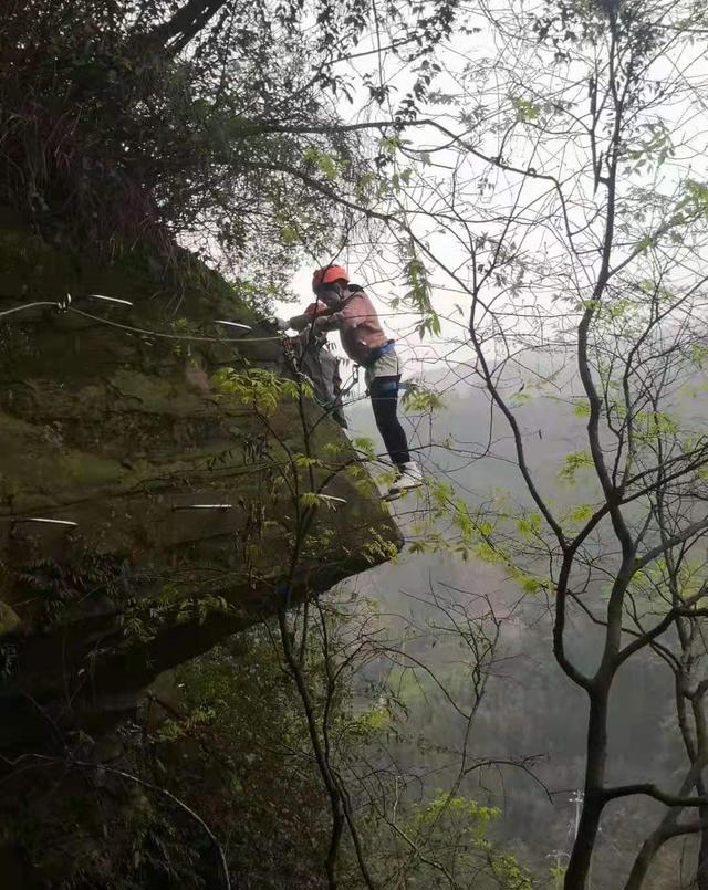 槐花饼