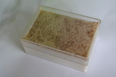 1617067634176530.jpg 蜂蜜