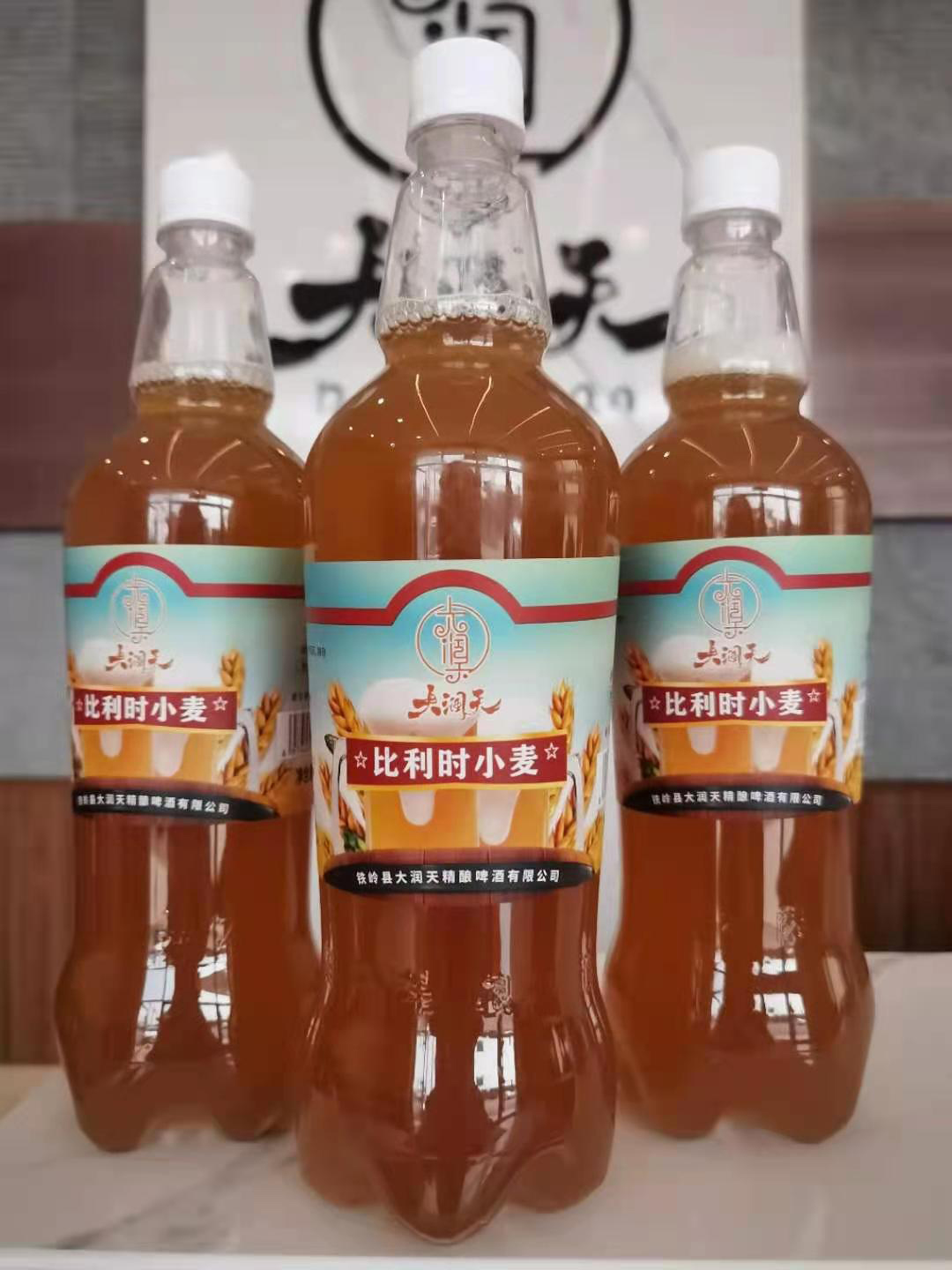 比利时小麦