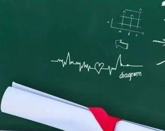 1617680577723054.png 松鼠教育