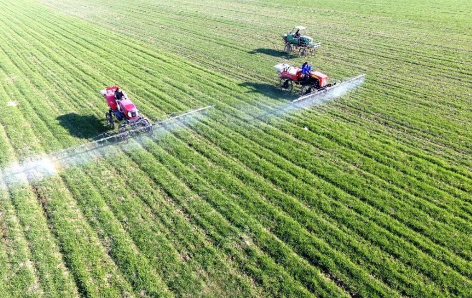 水溶肥性肥料之重过磷酸钙