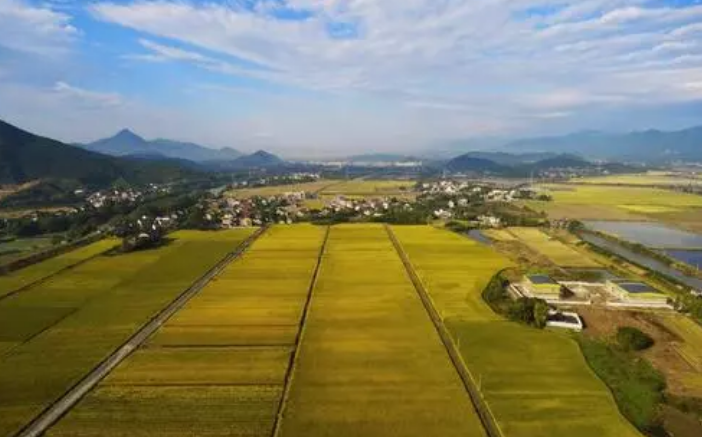 生物菌冲施肥的优点和使用方法