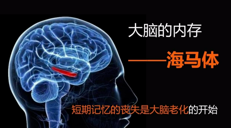 锐知宝