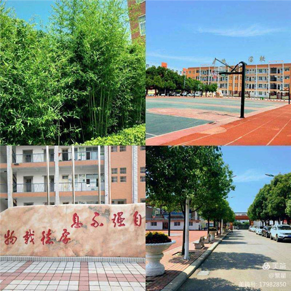 赛课促教研