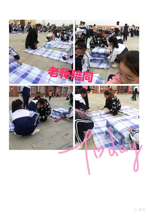 德育活动稳推进