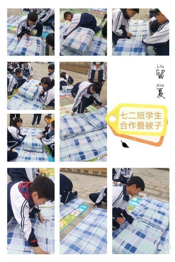 德育活动稳推进