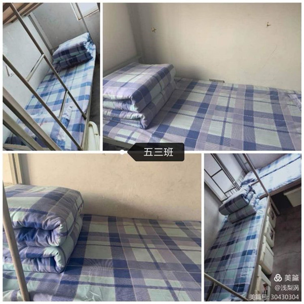 德育活动稳推进