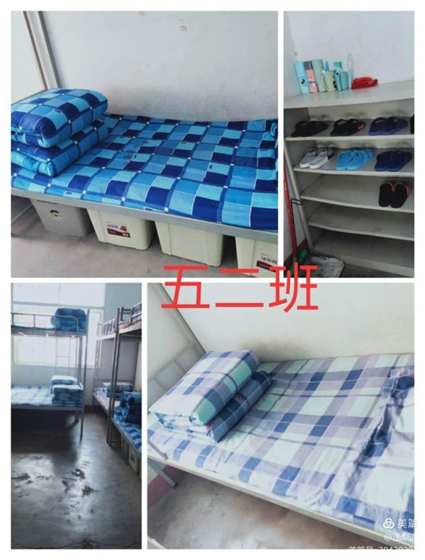 德育活动稳推进