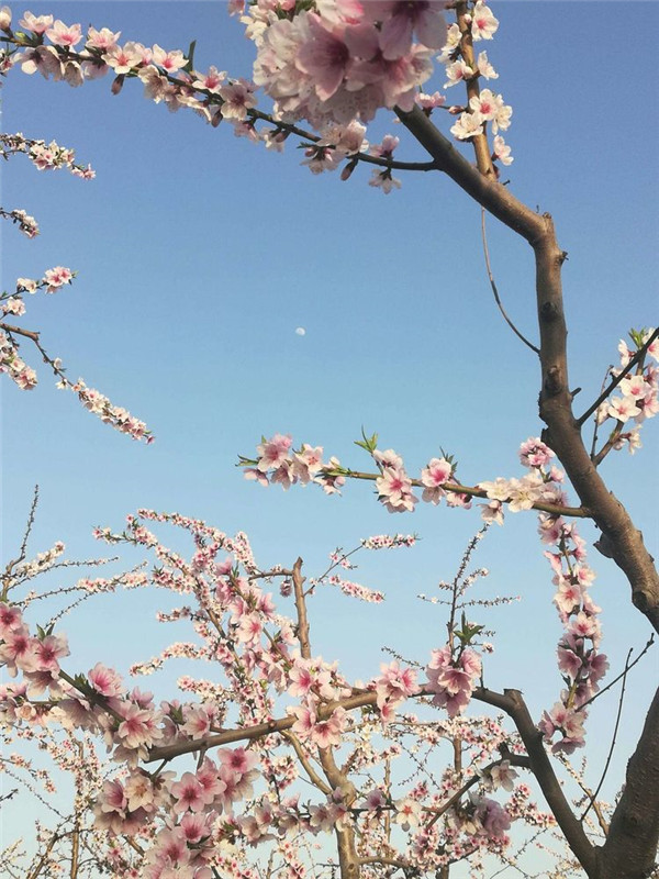 不负春光