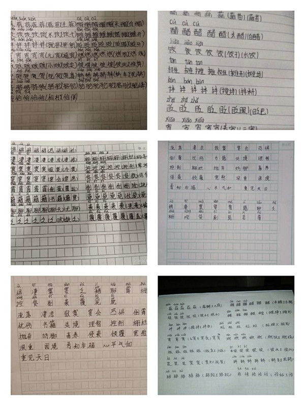 不负春光
