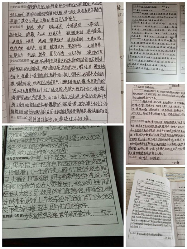 不负春光
