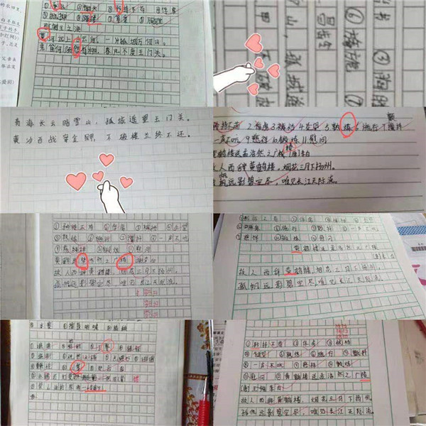 离校不离教
