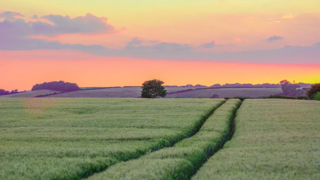兰州新区科技项目申报