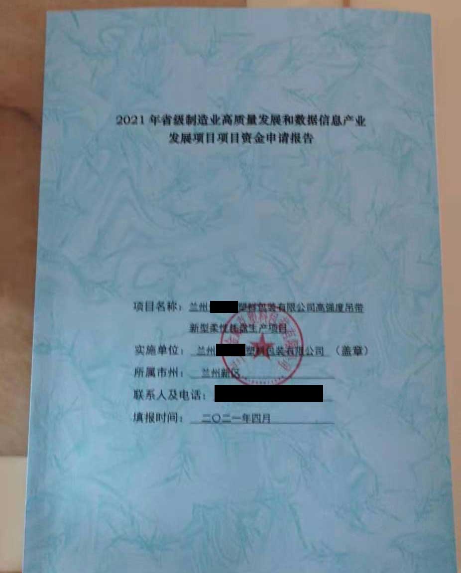 兰州新区投资项目资金申请报告