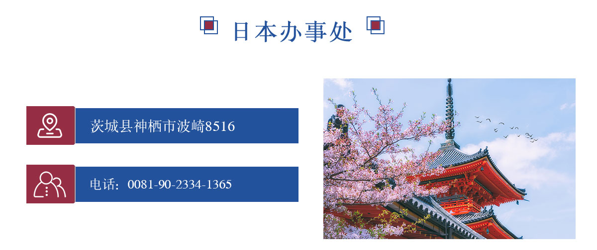 出国劳务