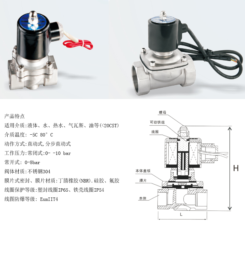 2W不锈钢电磁阀（水下线圈）