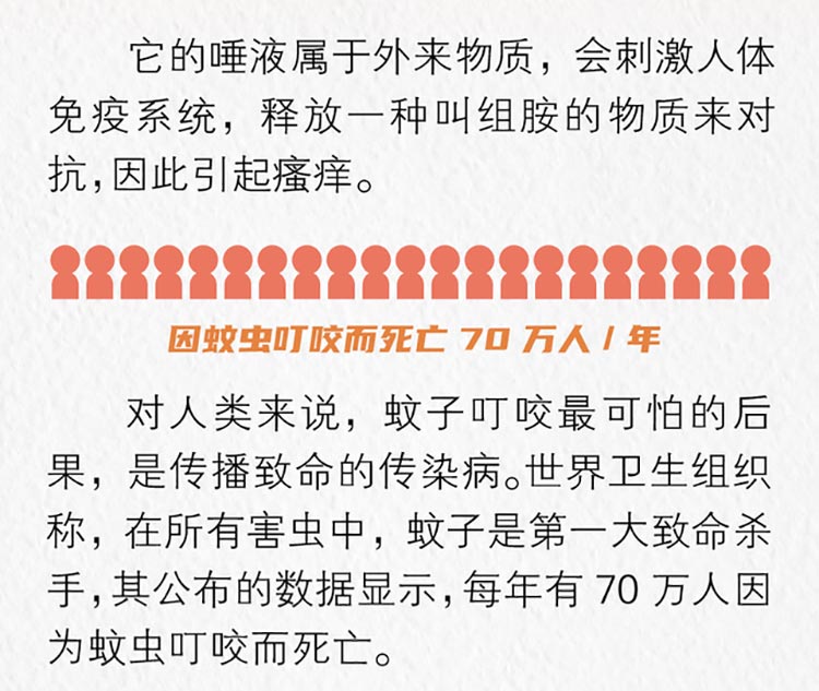 灭蚊子