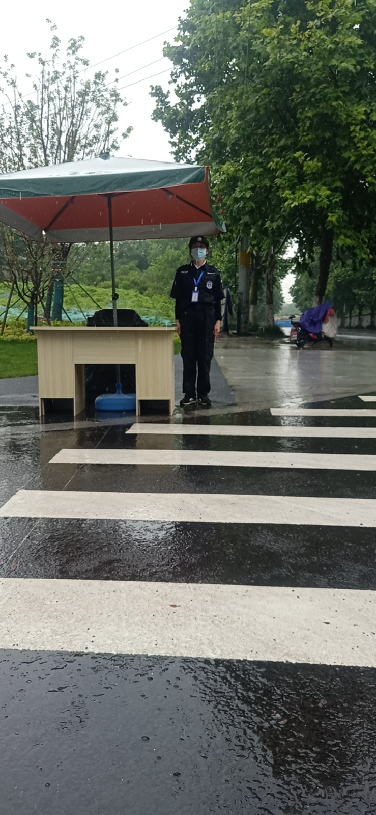 开放公园