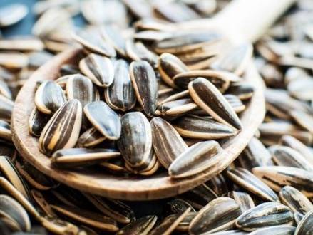 唐山炒瓜子 唐山炒瓜子