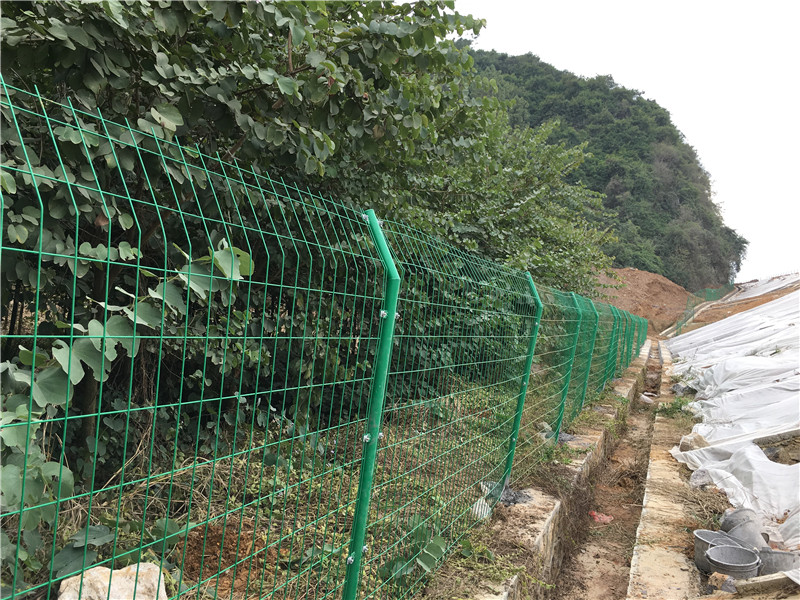 广西护栏厂家