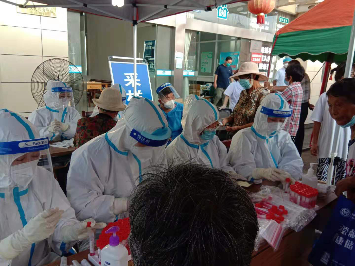 新冠病毒