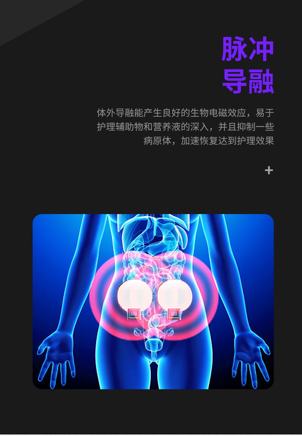 S3盆腔多動能修 復系統(tǒng)