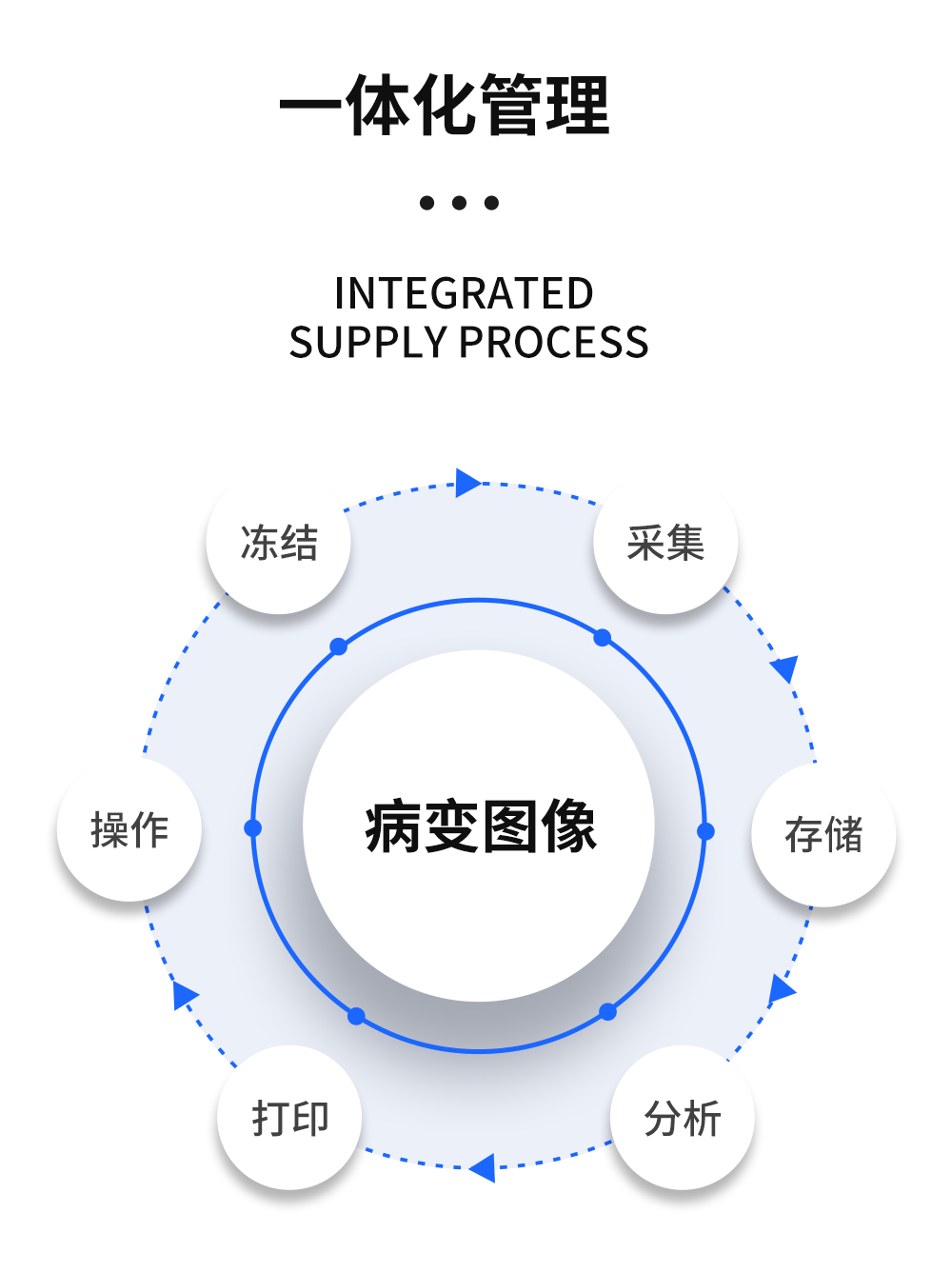 數(shù)碼電子陰道鏡