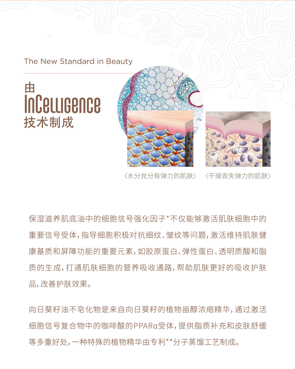 保湿滋润肌底油