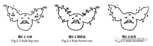 后备猪