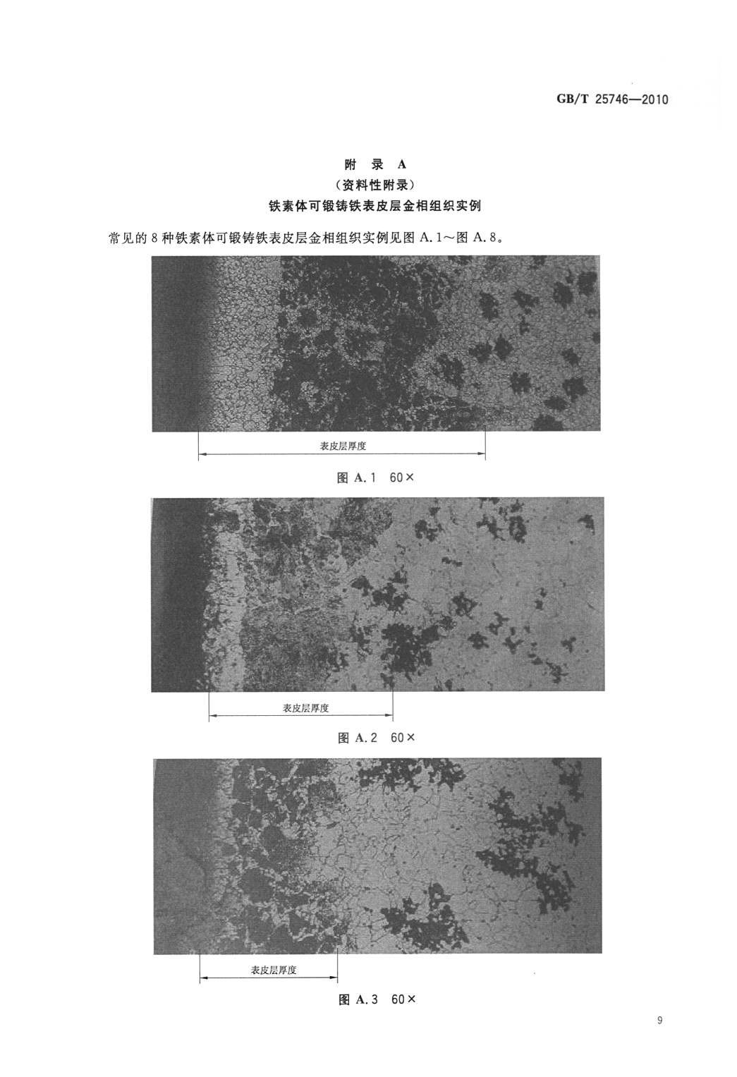 GBT25746-2010可锻铸铁金相检验