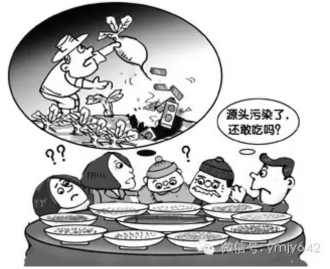 餐桌污染