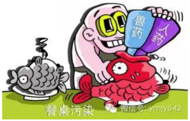 餐桌污染