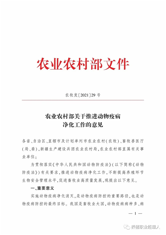 猪病净化