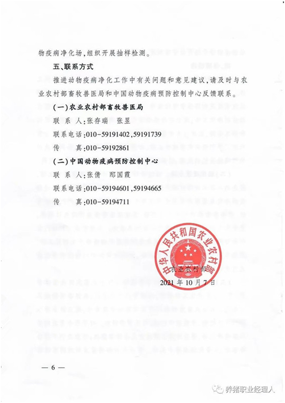 猪病净化