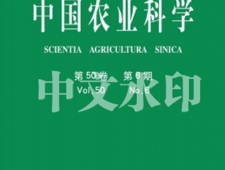 職稱論文