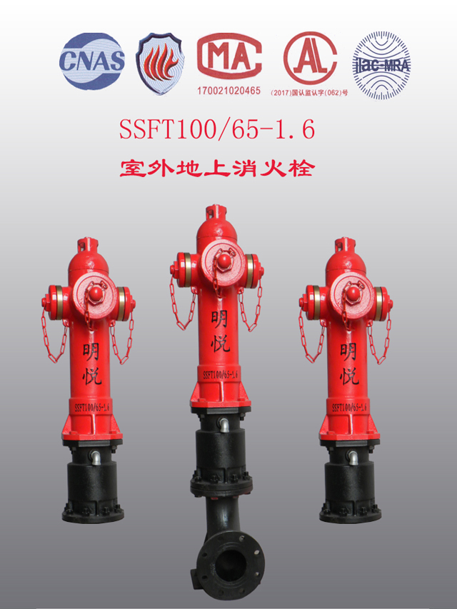 SSFT100/65-1.6