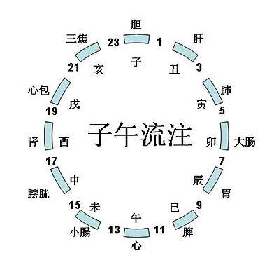 子午流注