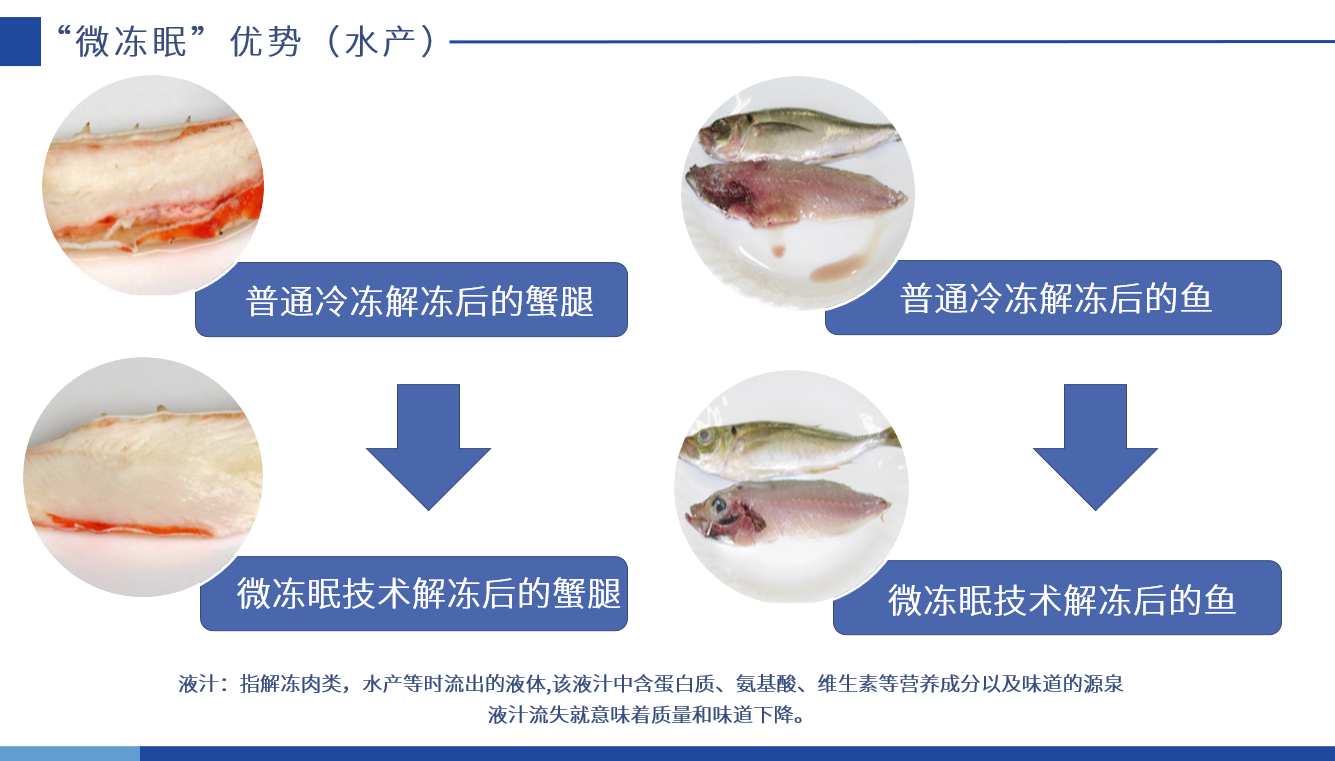 微冻眠优势