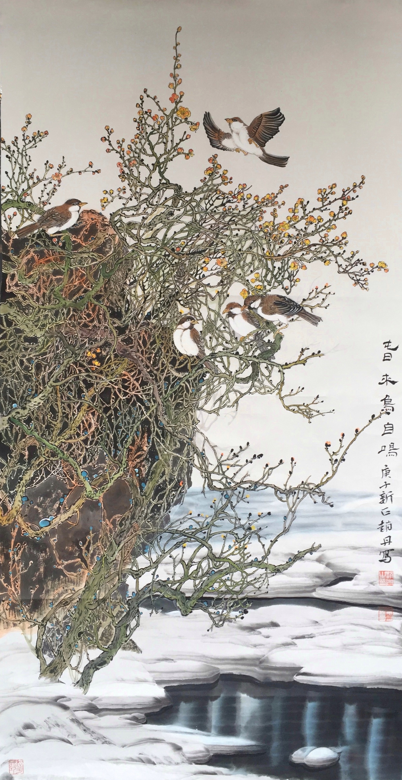 赵丹
