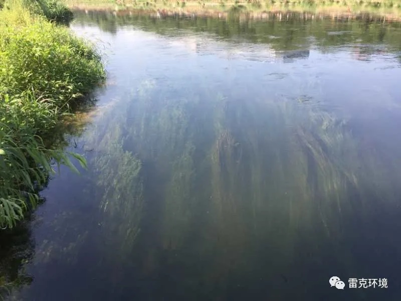 借鑒涼水河經驗 提升安慶水環境質量 ——安慶市委書記張祥安參觀考察北京涼水河