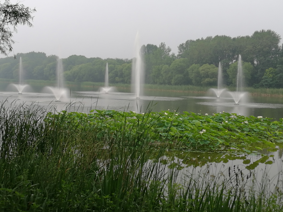 北戴河湿地公园水环境治理工程