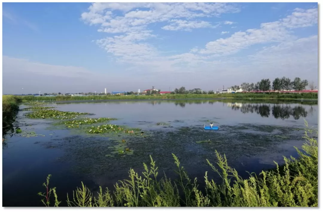 膠州市李哥莊鎮污水處理廠尾水水質提升項目
