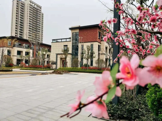 1643187292608752.png 正合方略策划精英平顶山游学之旅