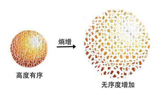 压缩机