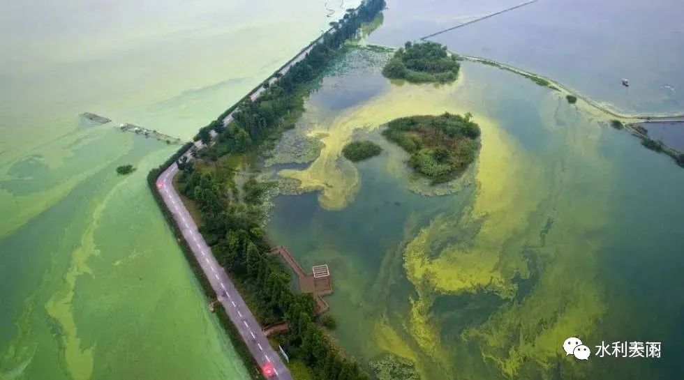 朱喜：治理平原河網水污染凈化河水提升水質