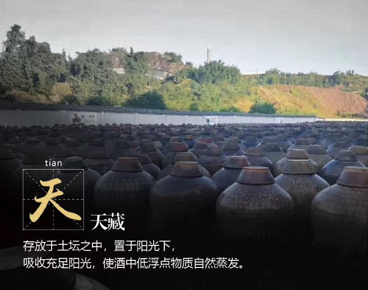 天藏.jpg